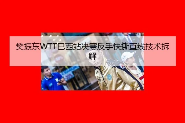 樊振东WTT巴西站决赛反手快撕直线技术拆解